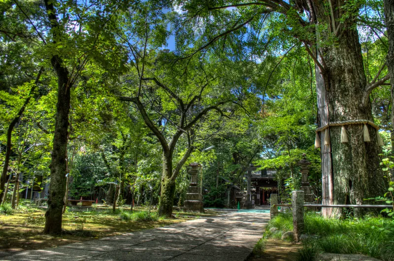 The main hall of Akasaka Hikawa Shrine, a dark timber building among trees