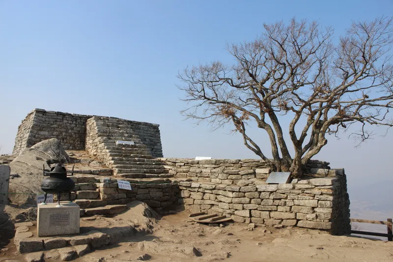 The sosanamu tree growing on the stone terrace at Chamseongdan, on the summit ridge of Manisan.