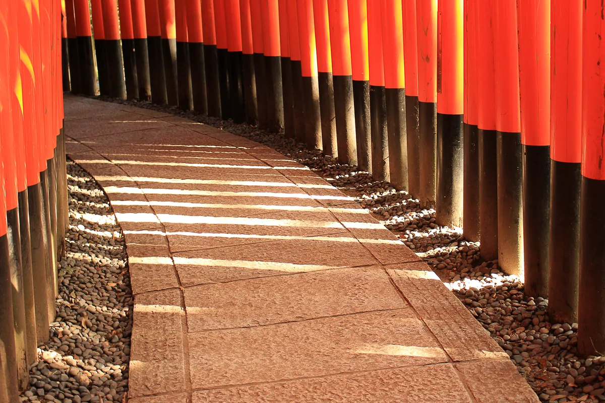 The tunnel of vermilion torii gates winding up Inariyama at Fushimi Inari Taisha.