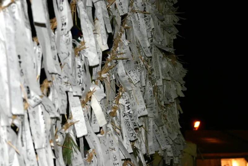 The Samsindang zelkova at the centre of Hahoe village, its trunk and ropes hung with written wishes on paper.
