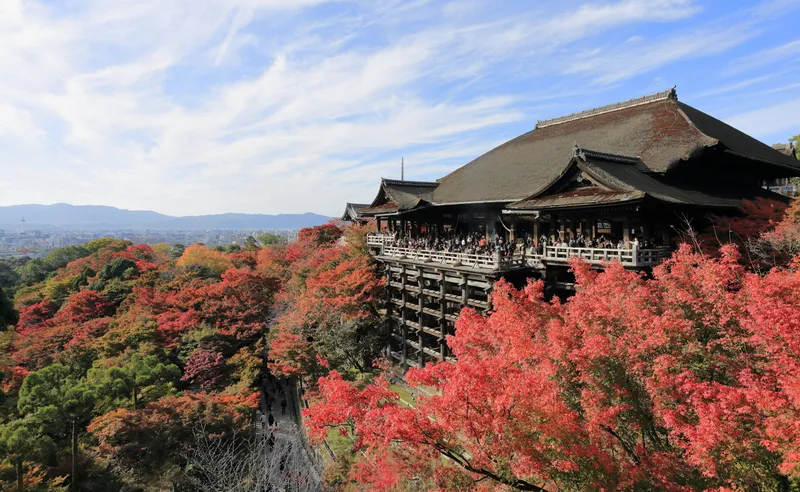 The main hall of Kiyomizu-dera on its timber stage, projecting from the wooded slope of Otowasan.