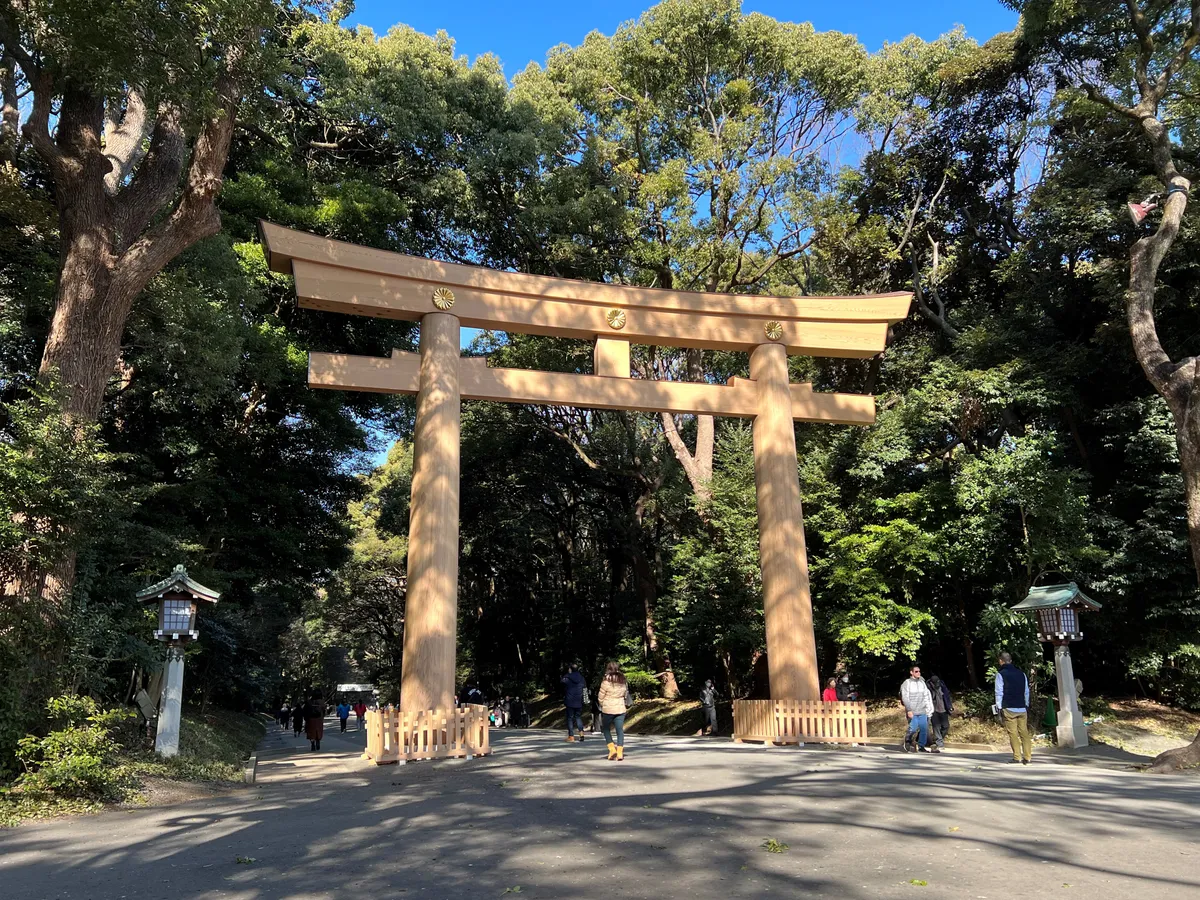 The large wooden torii gate on the south approach to Meiji Jingu, framed by forest