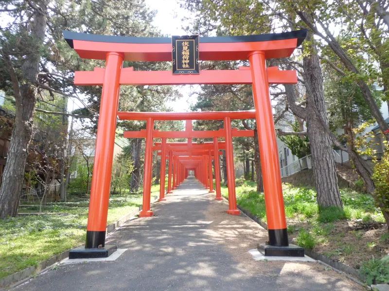 The line of vermilion gates at Sapporo Fushimi Inari Jinja.