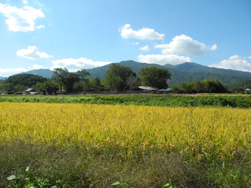 The precinct of Silsangsa on Jirisan in Namwon.