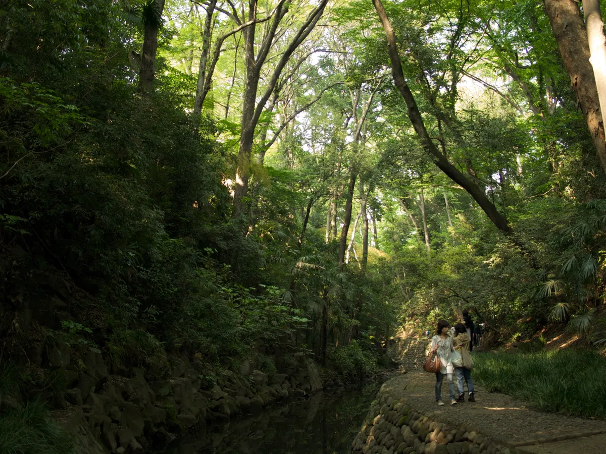 The wooded ravine of Todoroki Valley with the stream running below the path