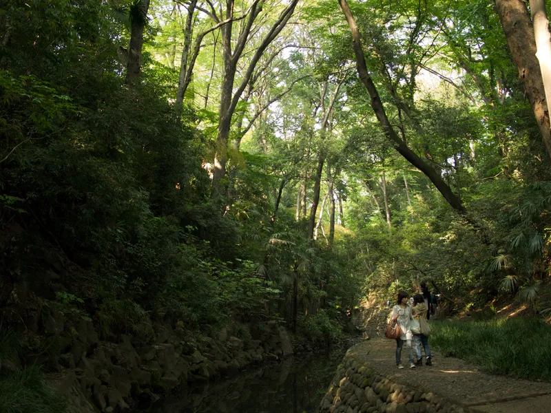 The wooded ravine of Todoroki Valley with the stream running below the path