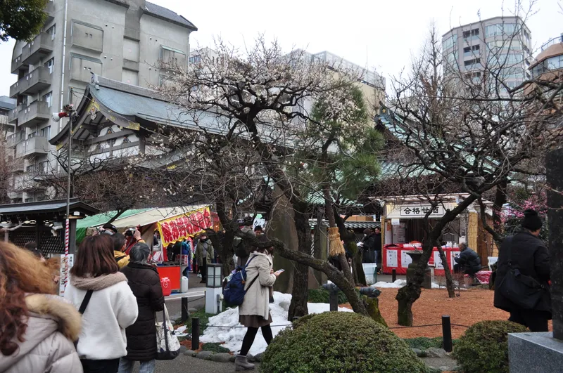 The cypress hall of Yushima Tenmangu seen across the shrine courtyard